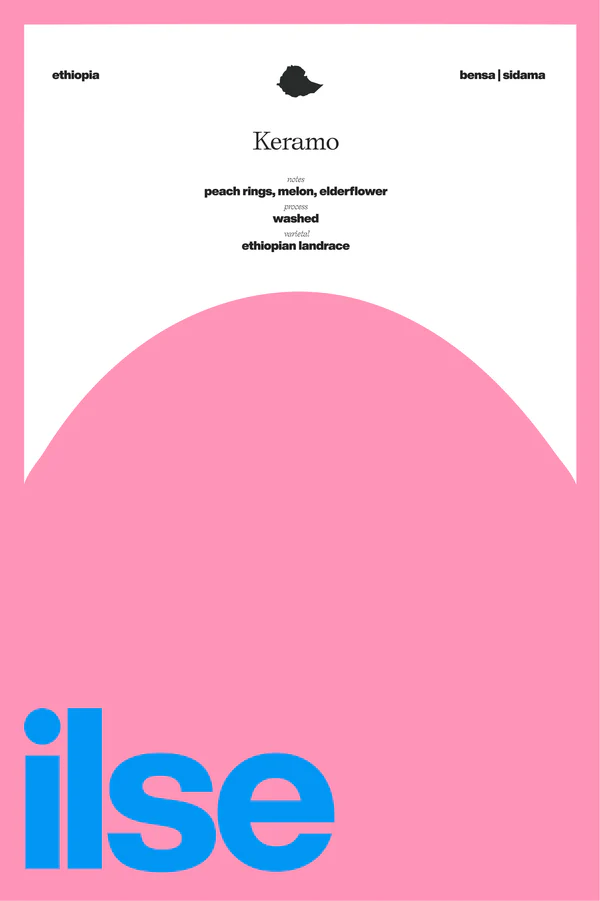 Keramo Washed Ethiopian Landrace