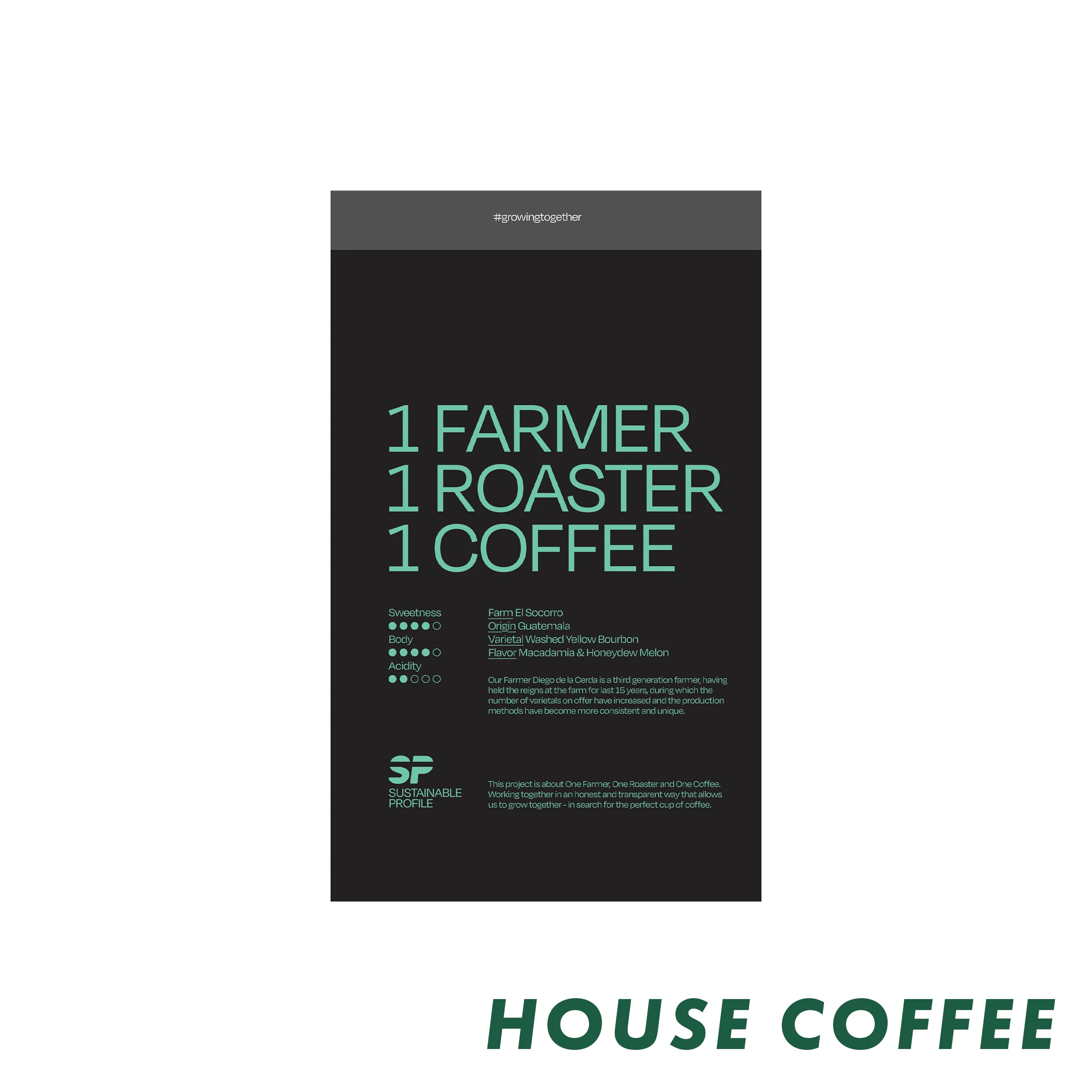 Sustainable Profile Coffee - Guatemala