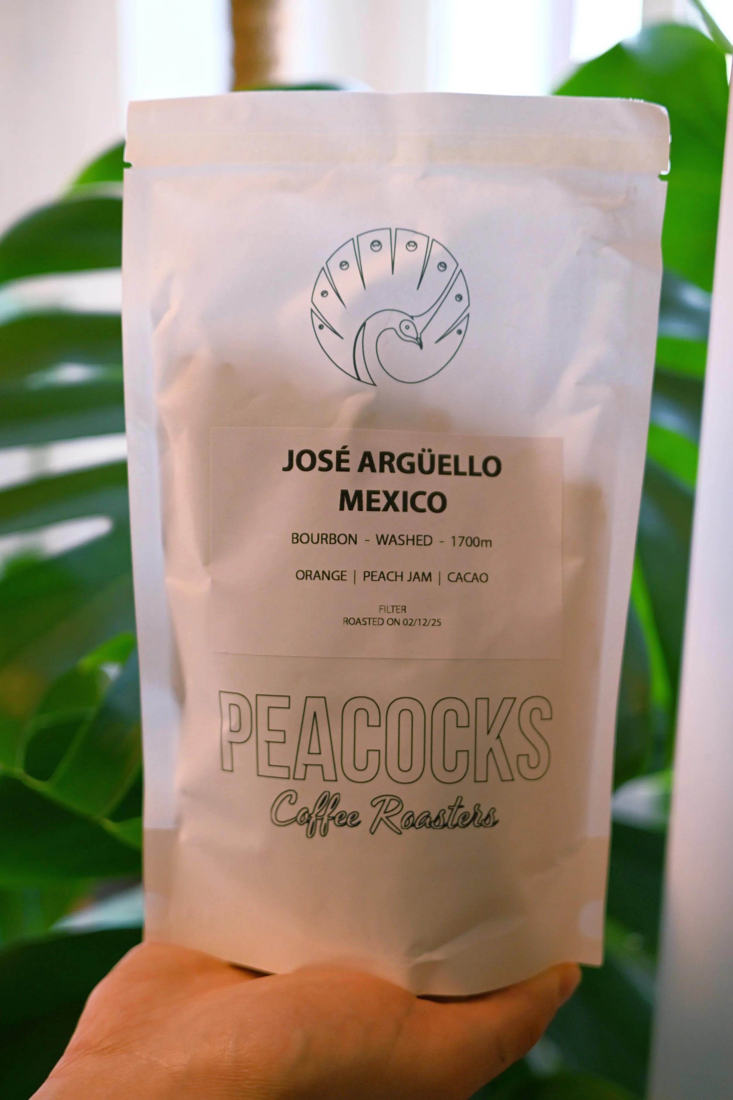 José Argüello - Mexico