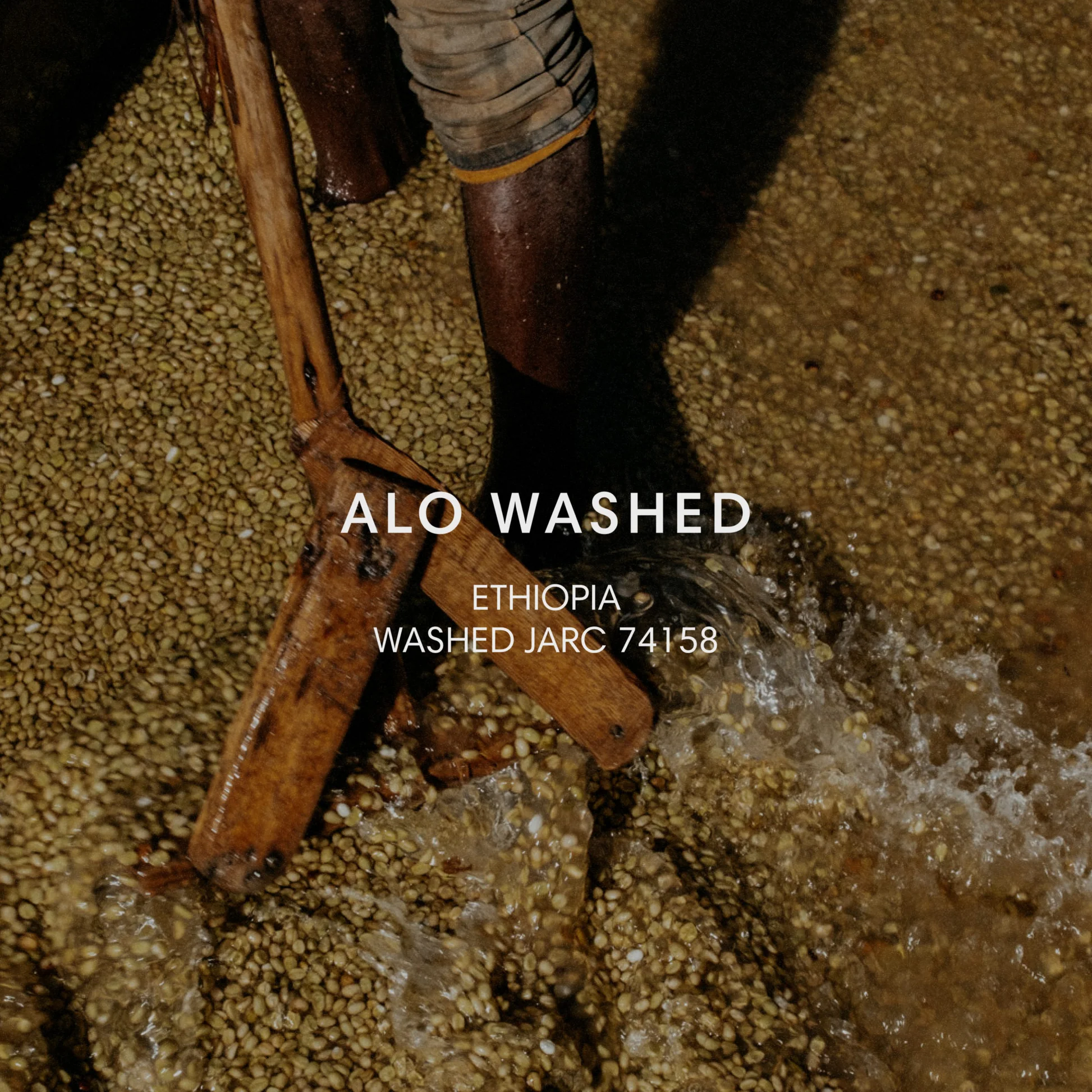 ALO WASHED