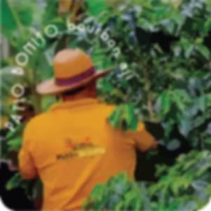 Patio Bonito Bourbon Aji