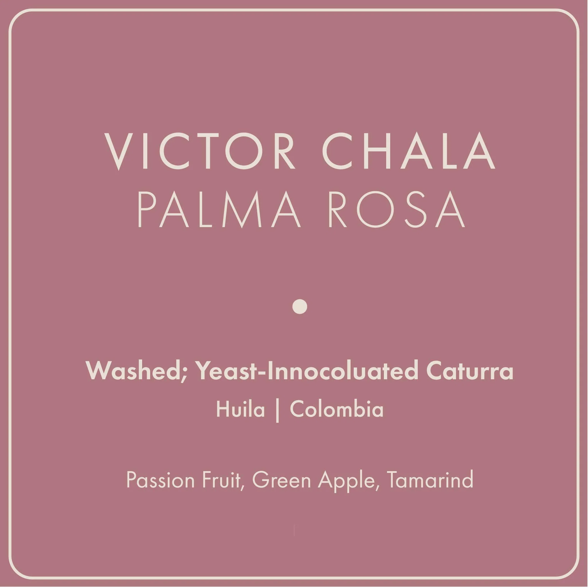 Victor Chala "Palma Rosa"