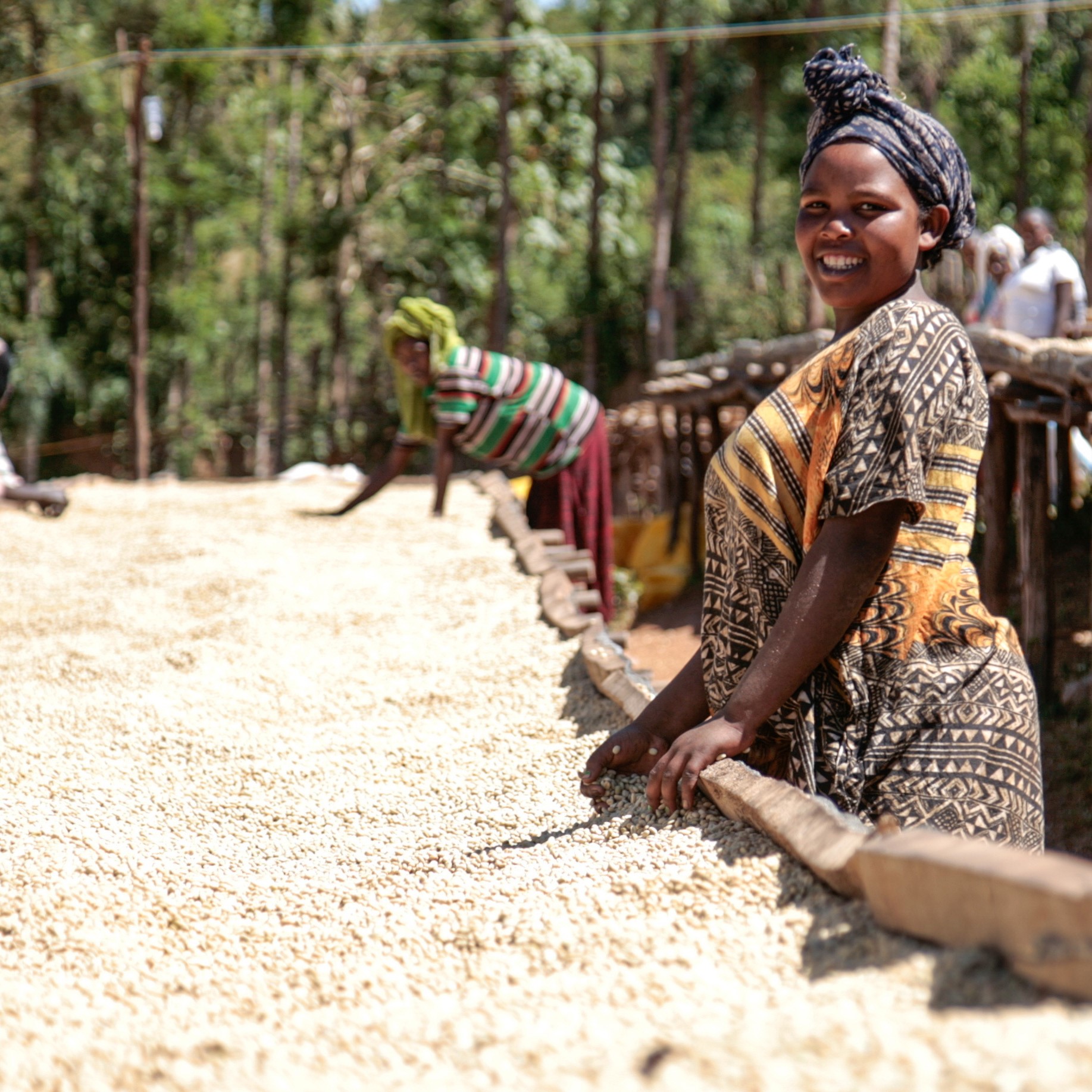 Tanzania Mbeya Mwangoka