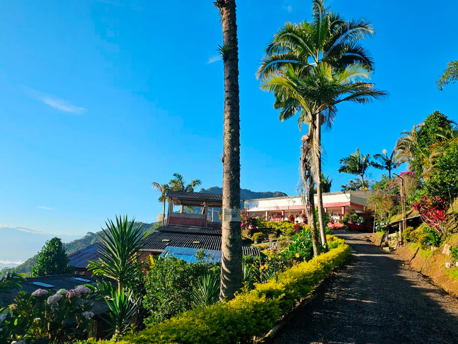 Cascara by Finca El Porvenir, Colombia