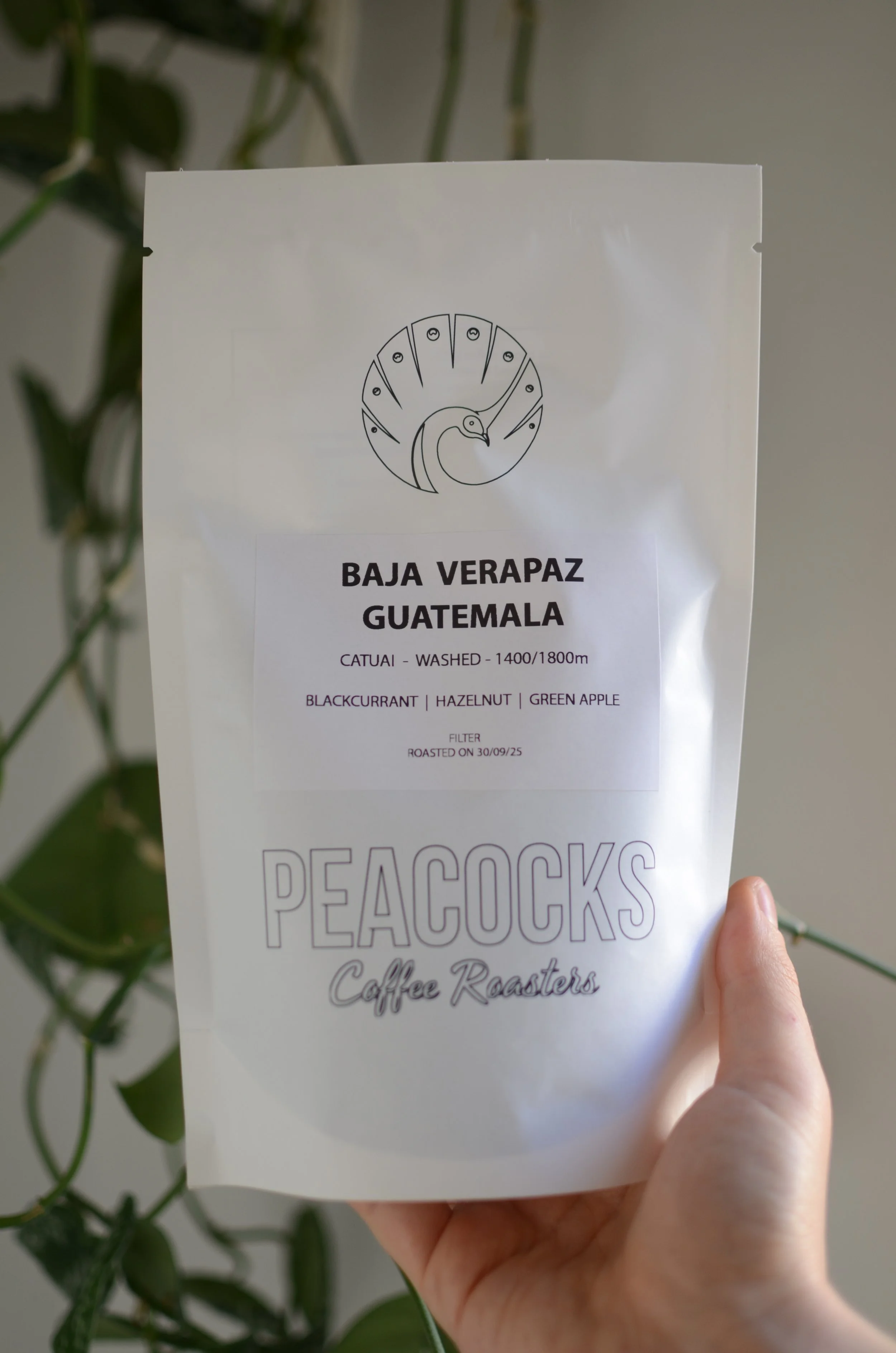 Baja Verapaz - Guatemala