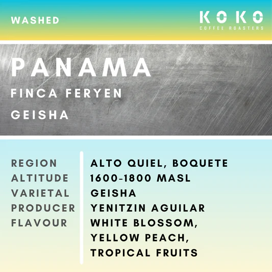 Panama Finca Feryen Geisha Washed 150g