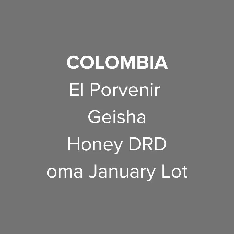 Colombia El Porvenir Geisha Honey DRD oma ... | Every Coffee