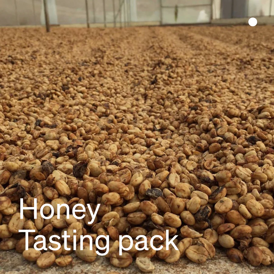 Honey Tasting Pack