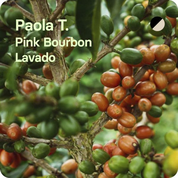 Paola Trujillo, Colombia