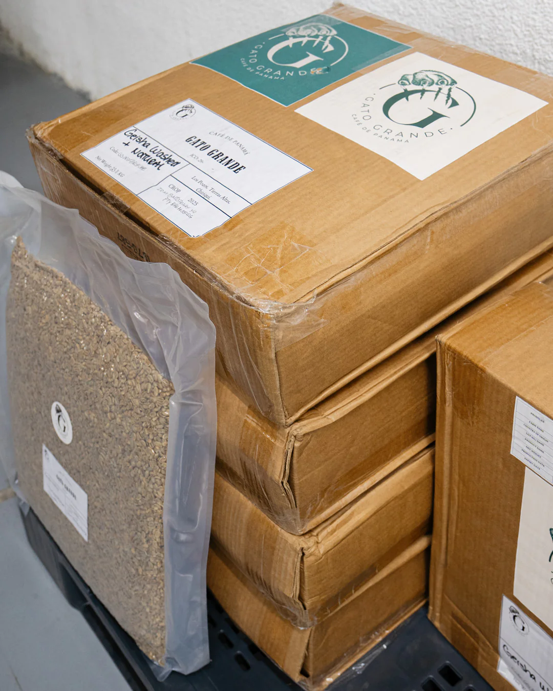 Gato Grande Cold Ferment Washed Lot 5