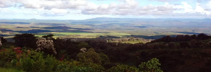 Koppars kaffe från Edelweiss Estate