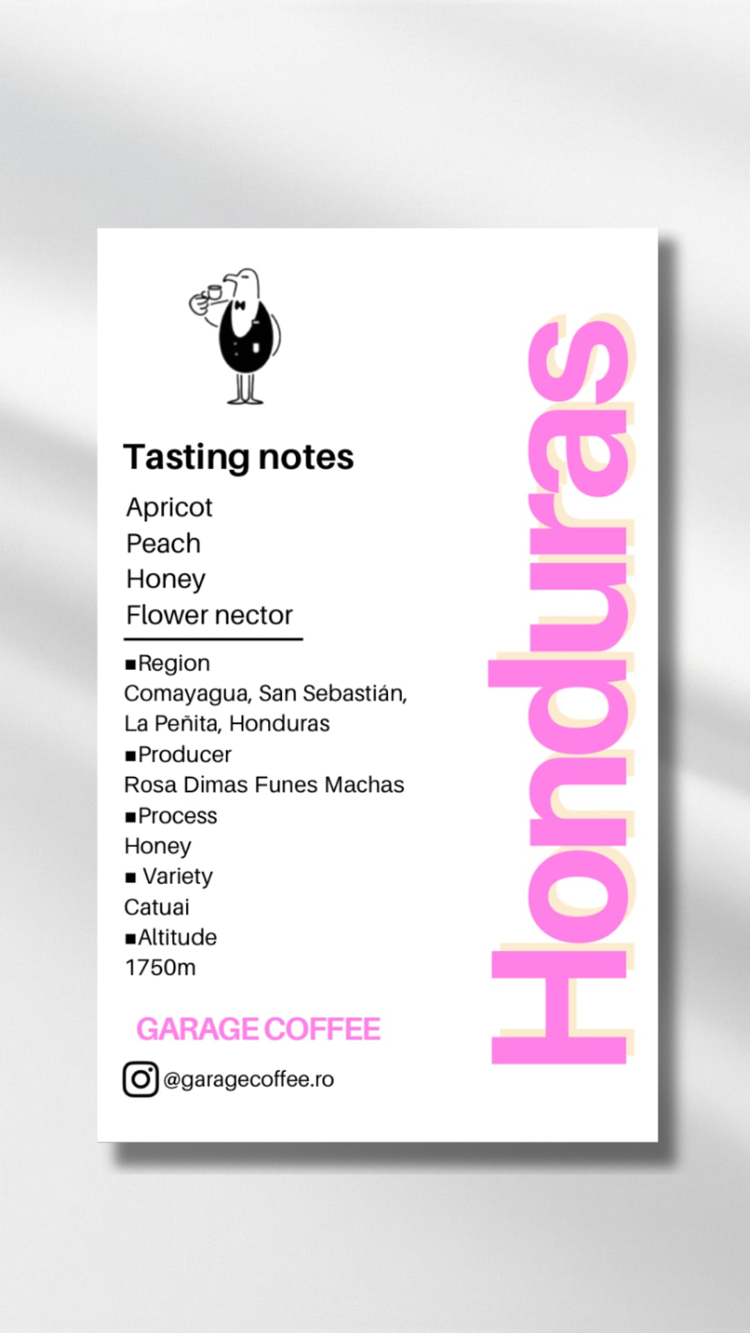 HONDURAS EL GUACAMOLE HONEY