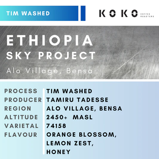 Ethiopia ALO Village TIM Washed