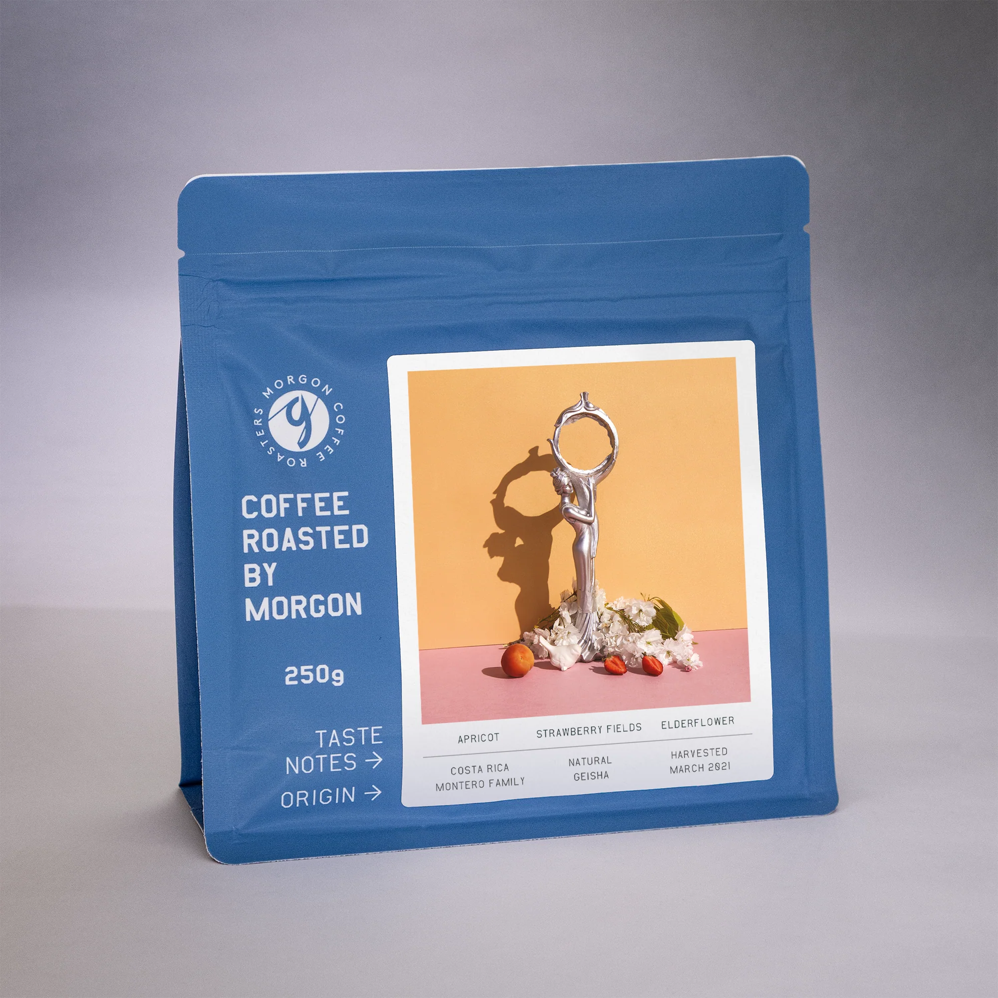 Montero Family, Natural Geisha - Costa Rica, Tarrazu