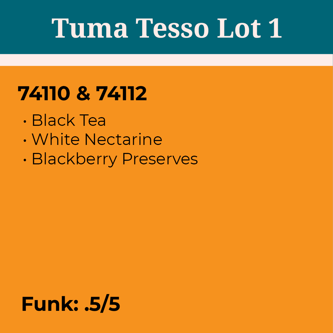 Tuma Tesso Lot 1 Washed Ethiopia