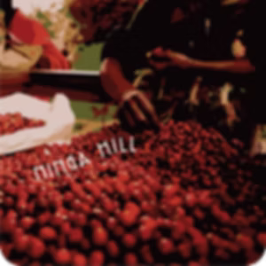 Ninga Hill | Burundi