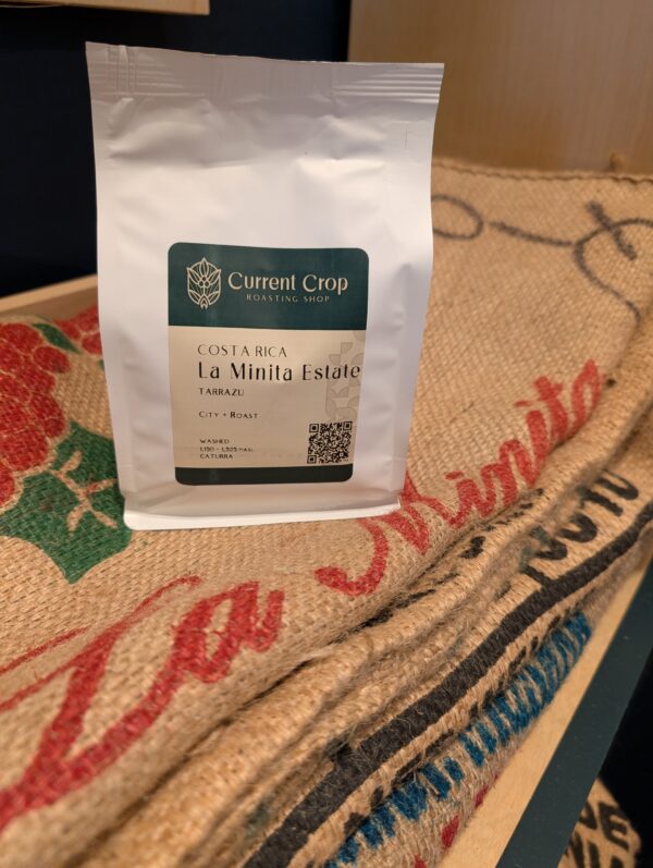 Costa Rica: La Minita Estate, Tarrazu (Roast-to-Order)