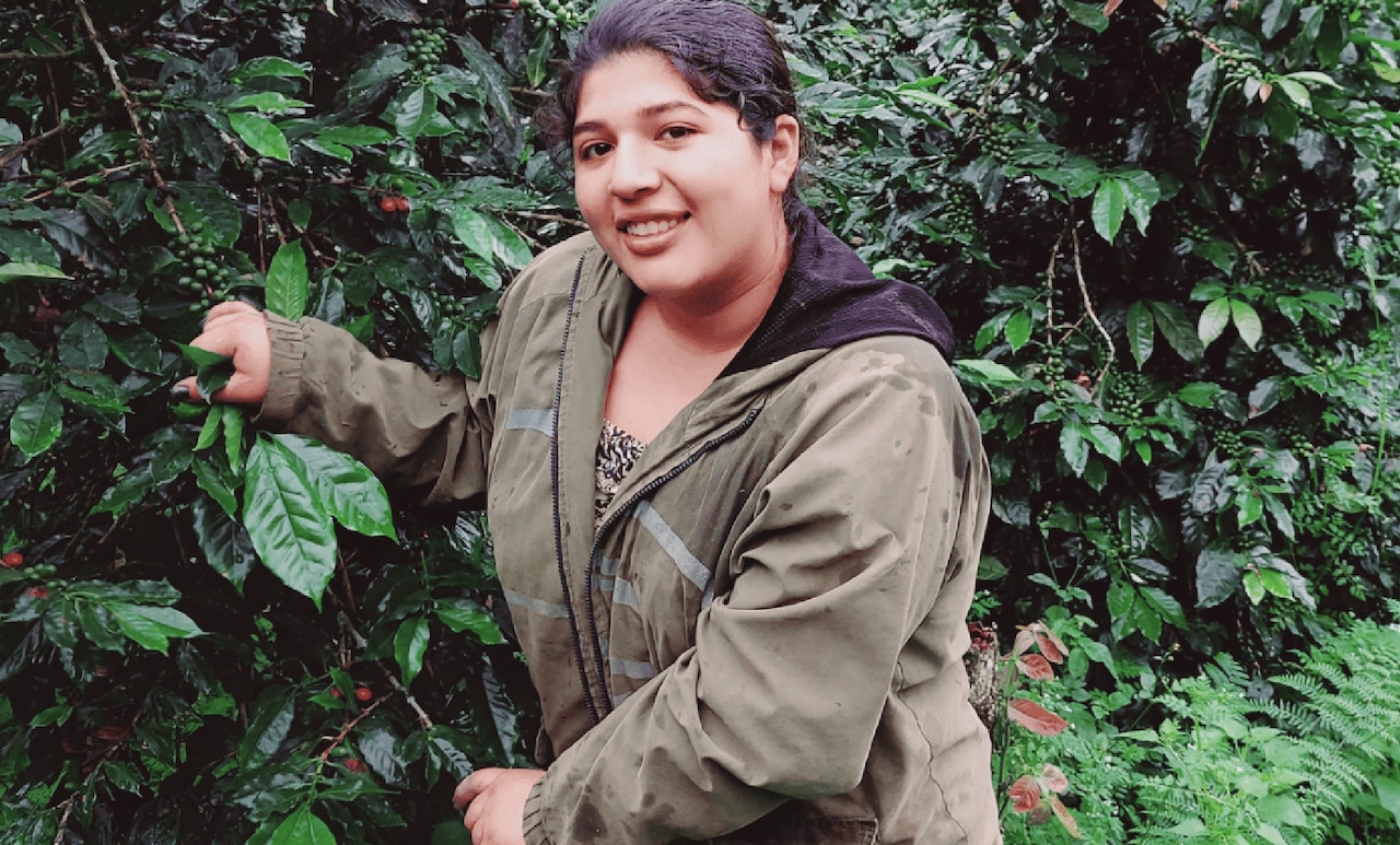 Peru El Diamante Washed 210g