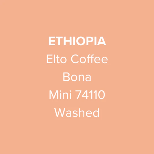 Ethiopia Elto Coffee Sidama Mini 74110 Washed