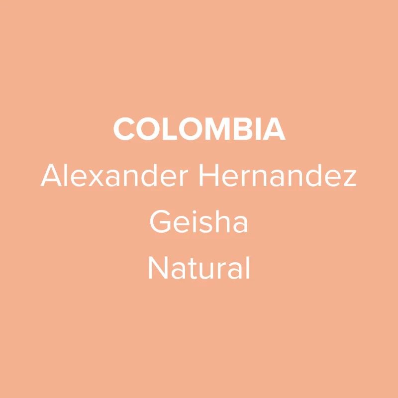 Colombia Huila Alexander Hernandez Geisha ... | Every Coffee