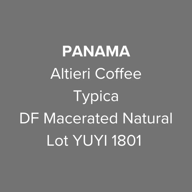Panama Altieri Coffee Typica DF Macerated Natural Lot YUYI 1801