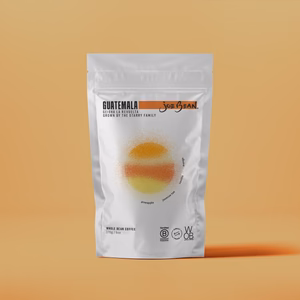 GUATEMALA LA REVUELTA GEISHA