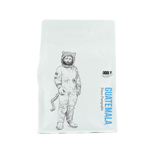 GUATEMALA FINCA PAMPOJILÁ