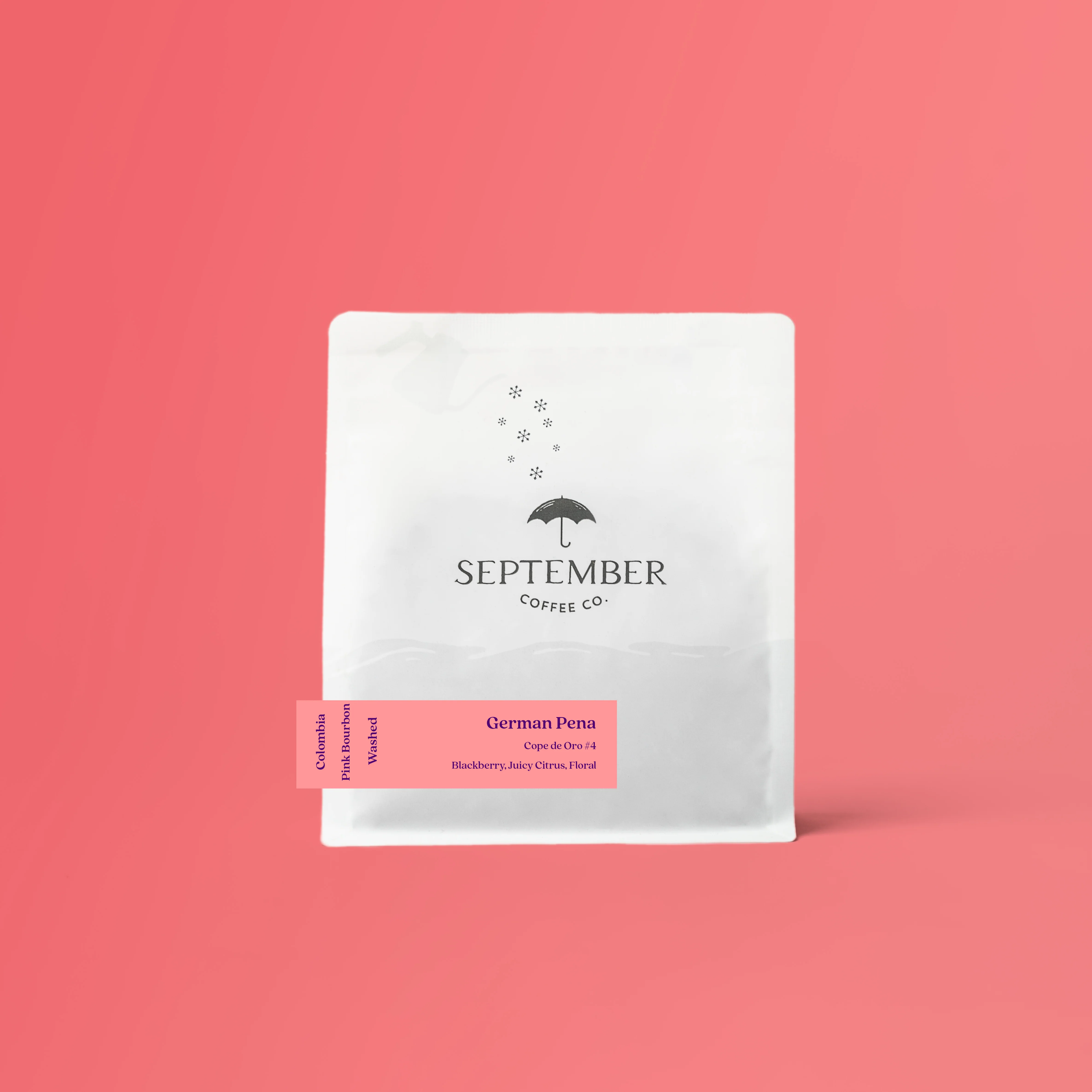 German Peña - Colombia (Copa de Oro)