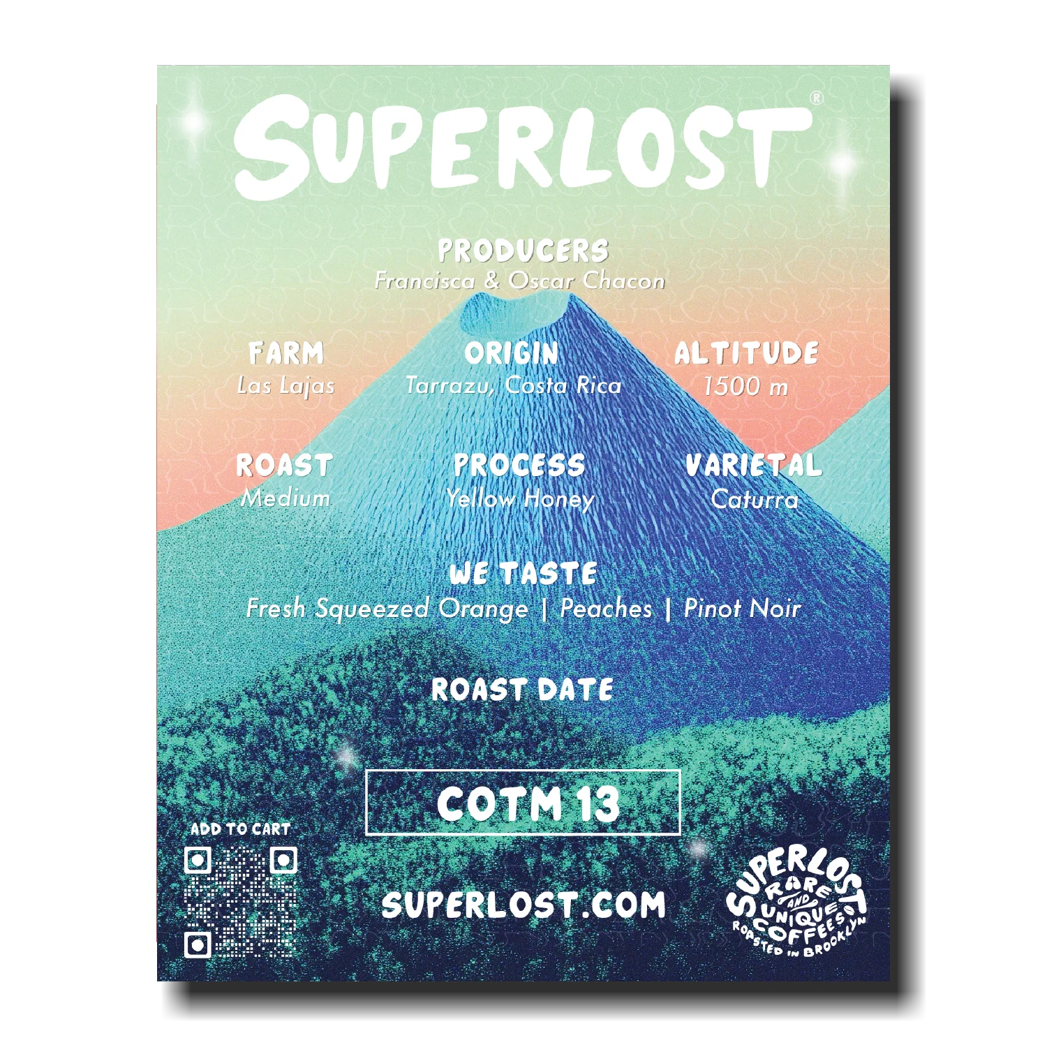 COTM 13 (Francisca & Oscar Chacon | Yellow Honey)