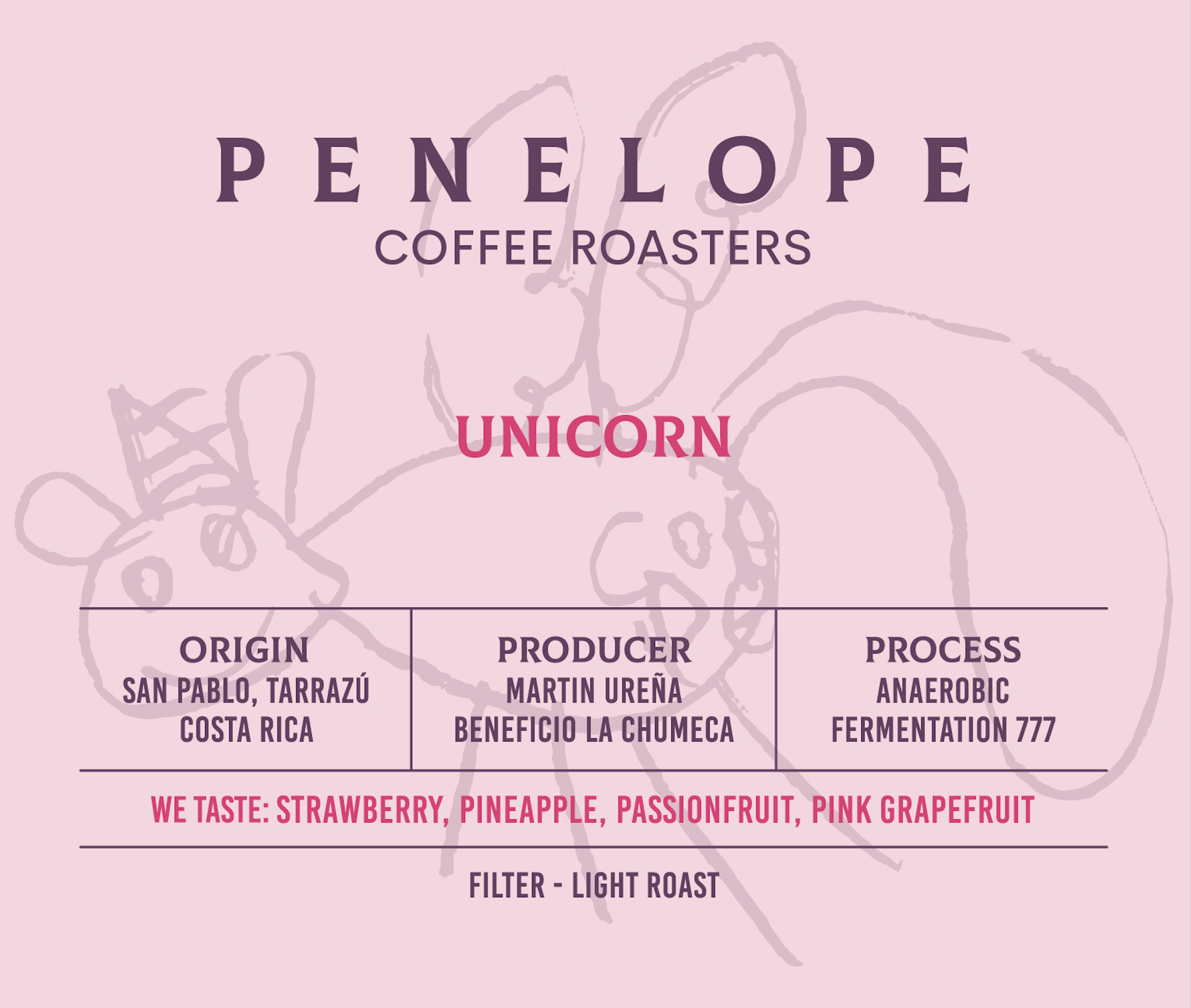 UNICORN | ANAEROBIC FERMENTATION