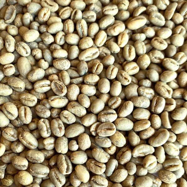 Guatemala: La Flor Del Cafe Peaberry, Antigua (Green)