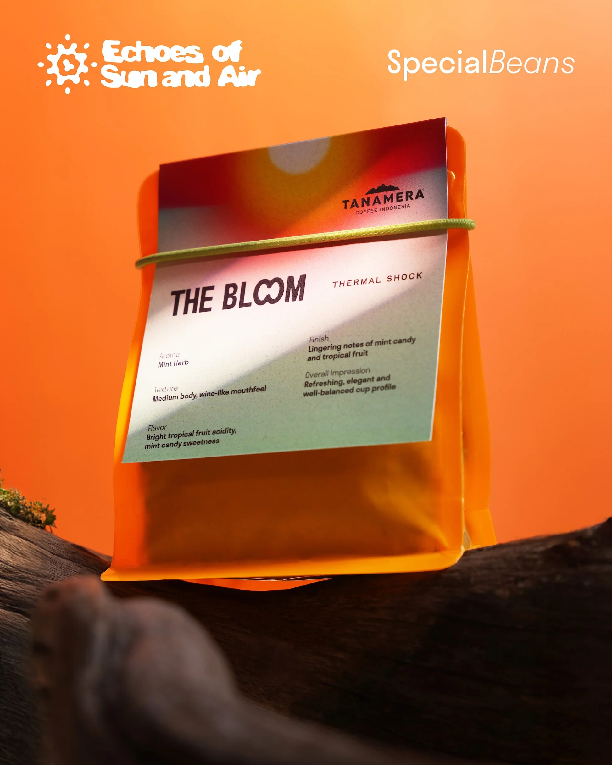 The Bloom – Thermal Shock | Vibrant Tropical