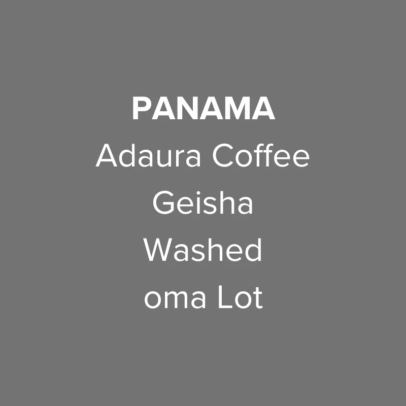 Panama Adaura Coffee Geisha Washed oma Lot
