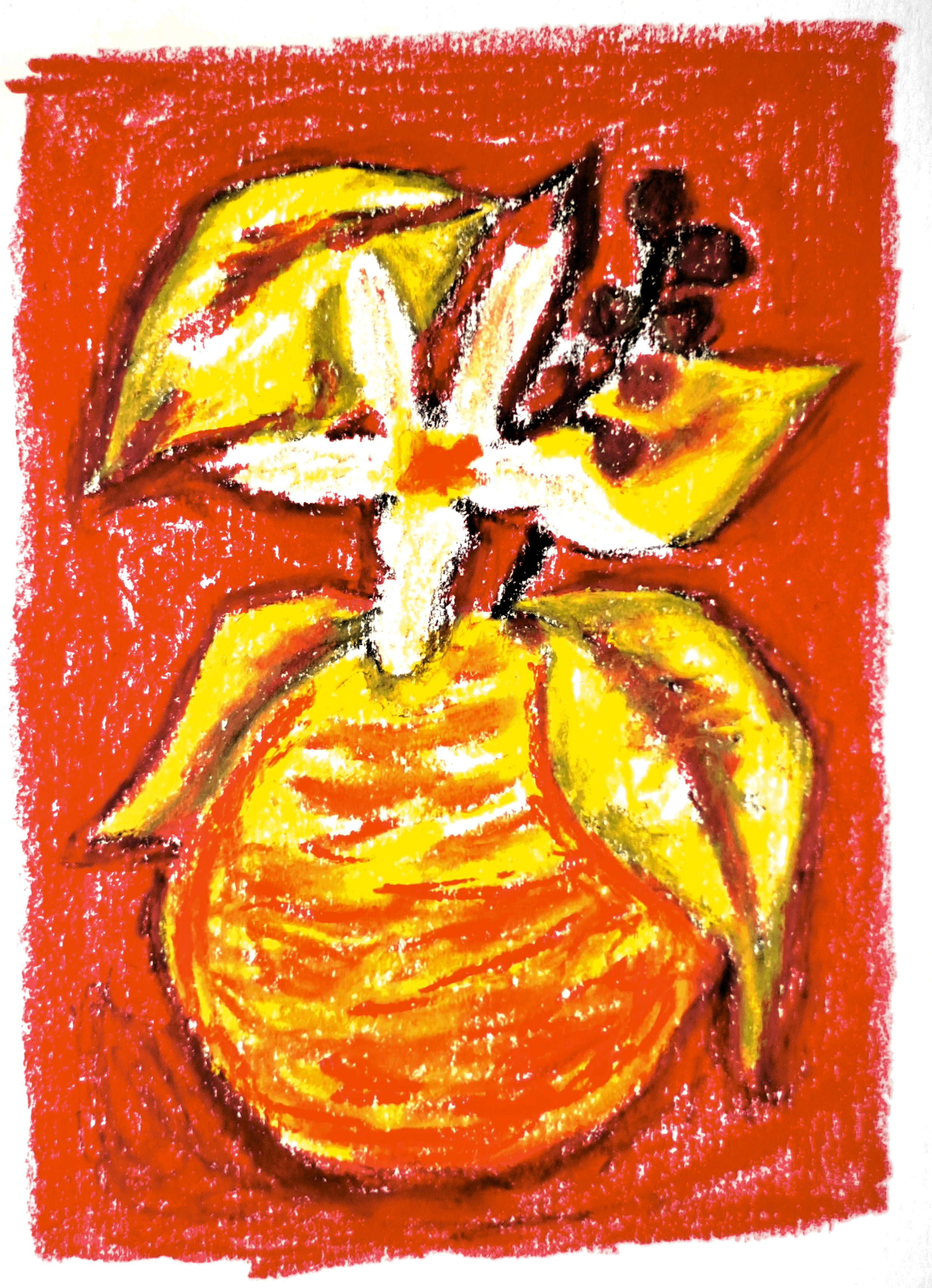 Lot 20 'The Lab' • Anaerobic Natural Orange Co-Ferment