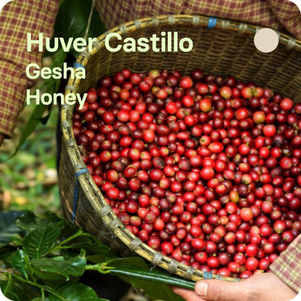 Huver Castillo, Colombia