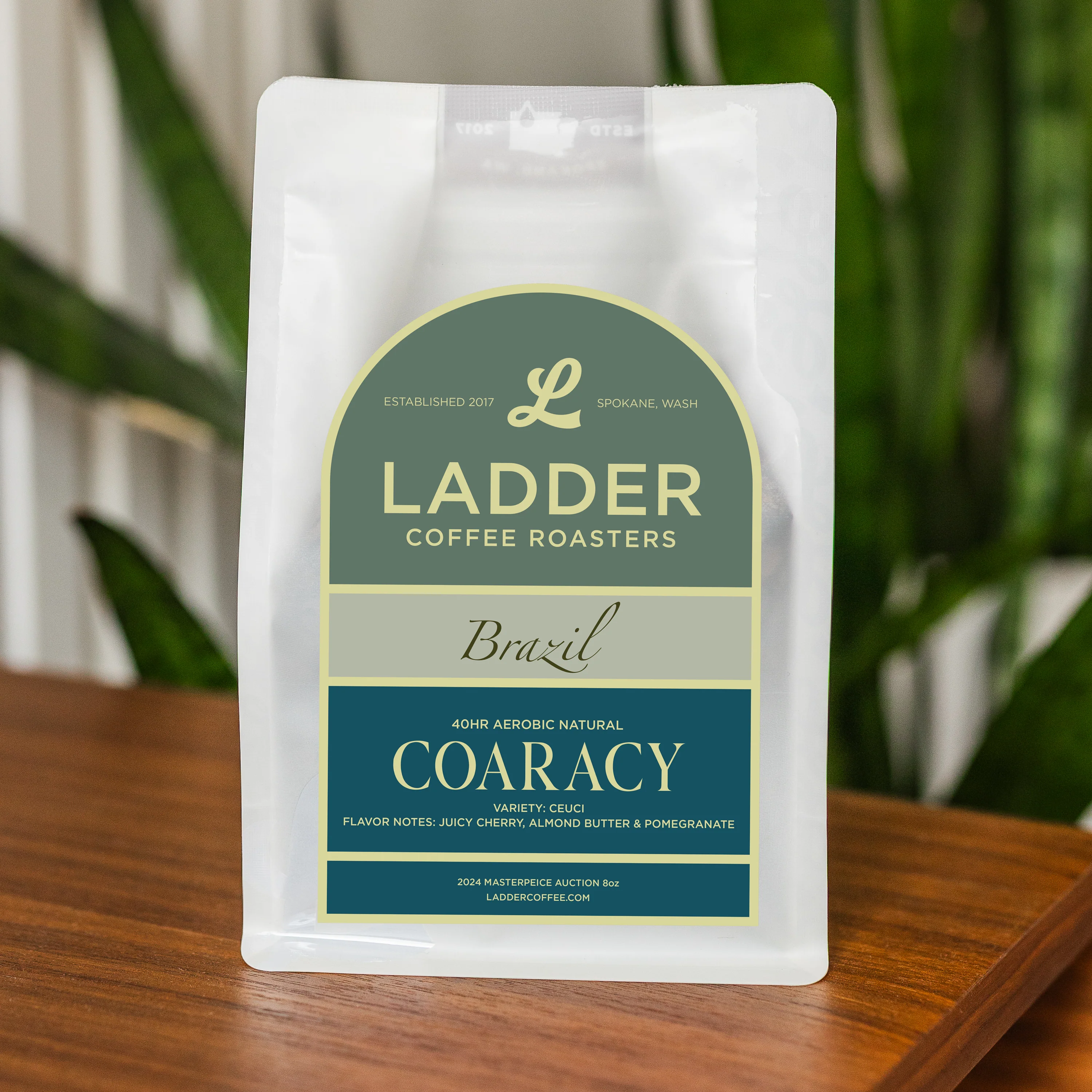 Rare Brazil Masterpiece Auction Lot