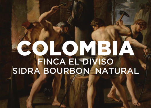 Colombia Finca El Diviso Sidra Bourbon Natural