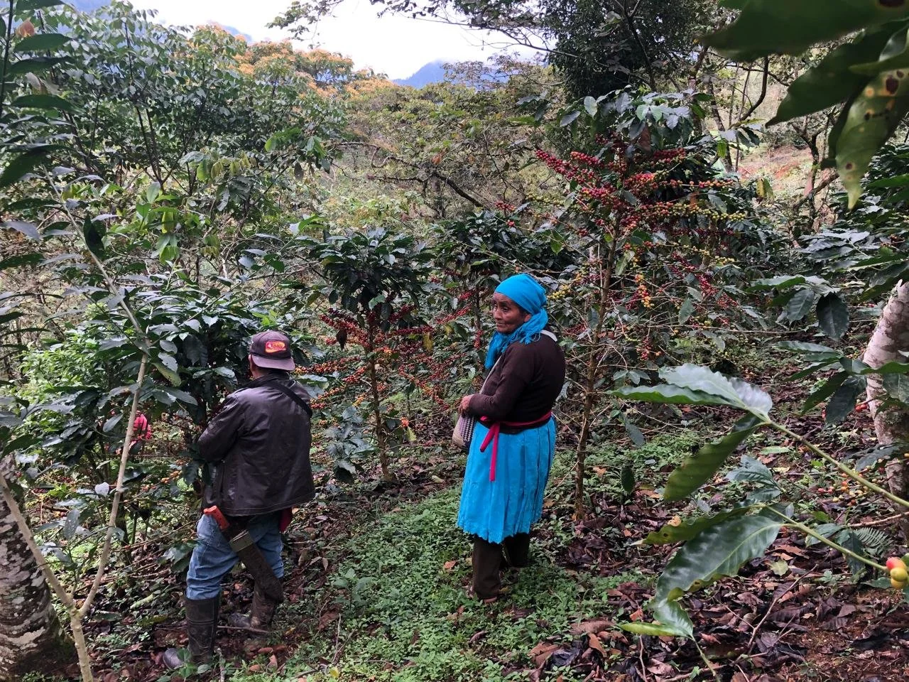 Tanetze de Zaragoza, Mexico