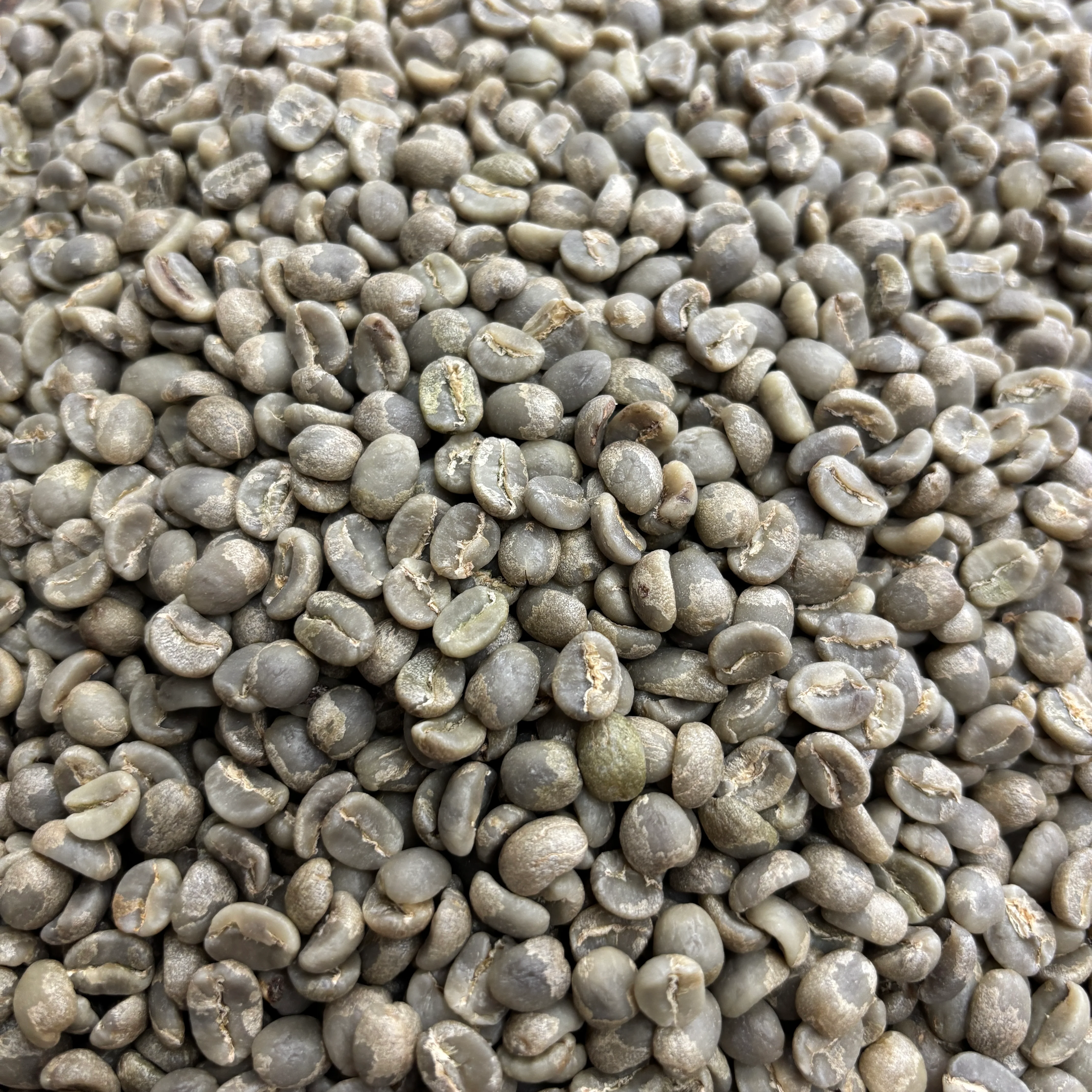 Kaliluni AA - Kenya, washed