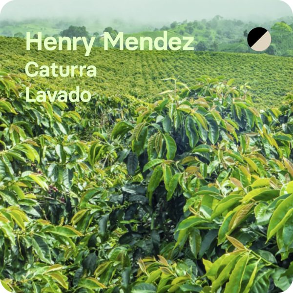 Henry Mendez, Colombia