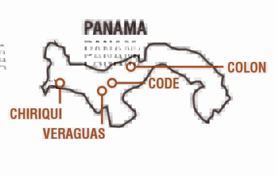 Panama Geisha Coffee