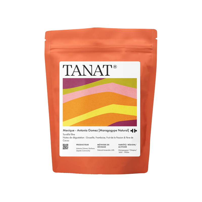 Antonia Gomez [Maragogype Natural]