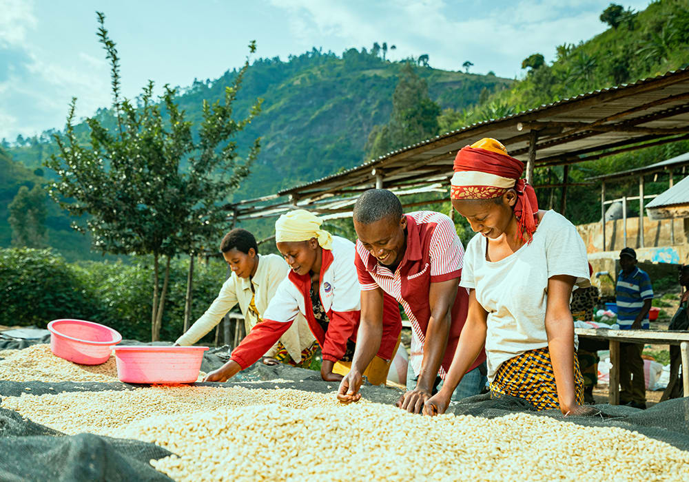 Democratic Republic of the Congo