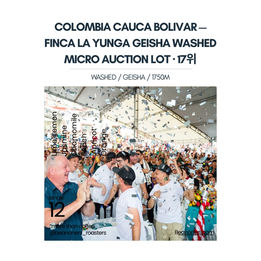 Honduras El Puente Los Arayanes Geisha Washed Coffee