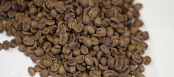 Costa Rica: Decaf El Indio, Tarrazu (Green)
