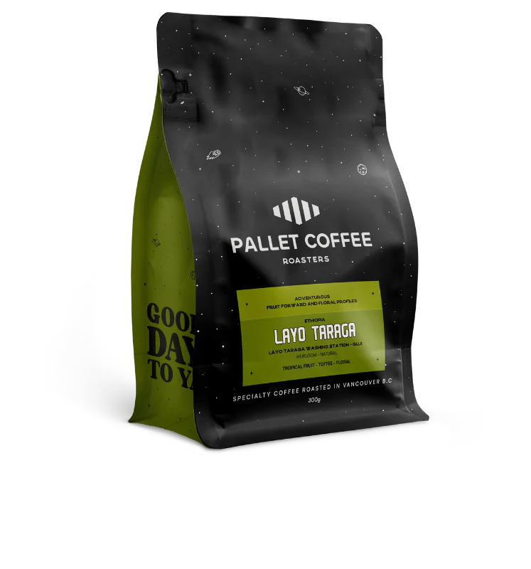 Ethiopia - Layo Taraga - Natural