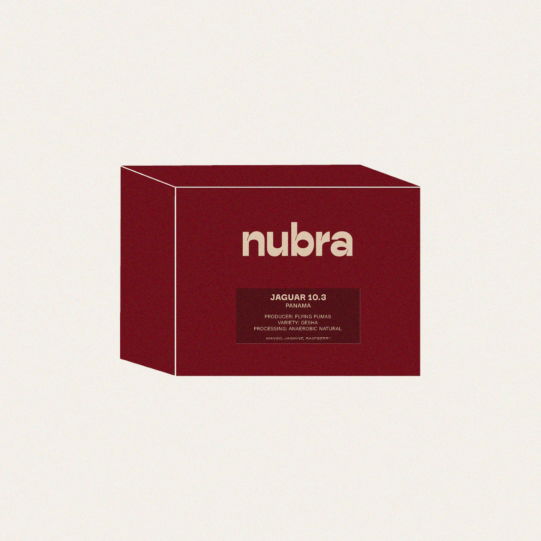 Panama - Flying Pumas Jaguar