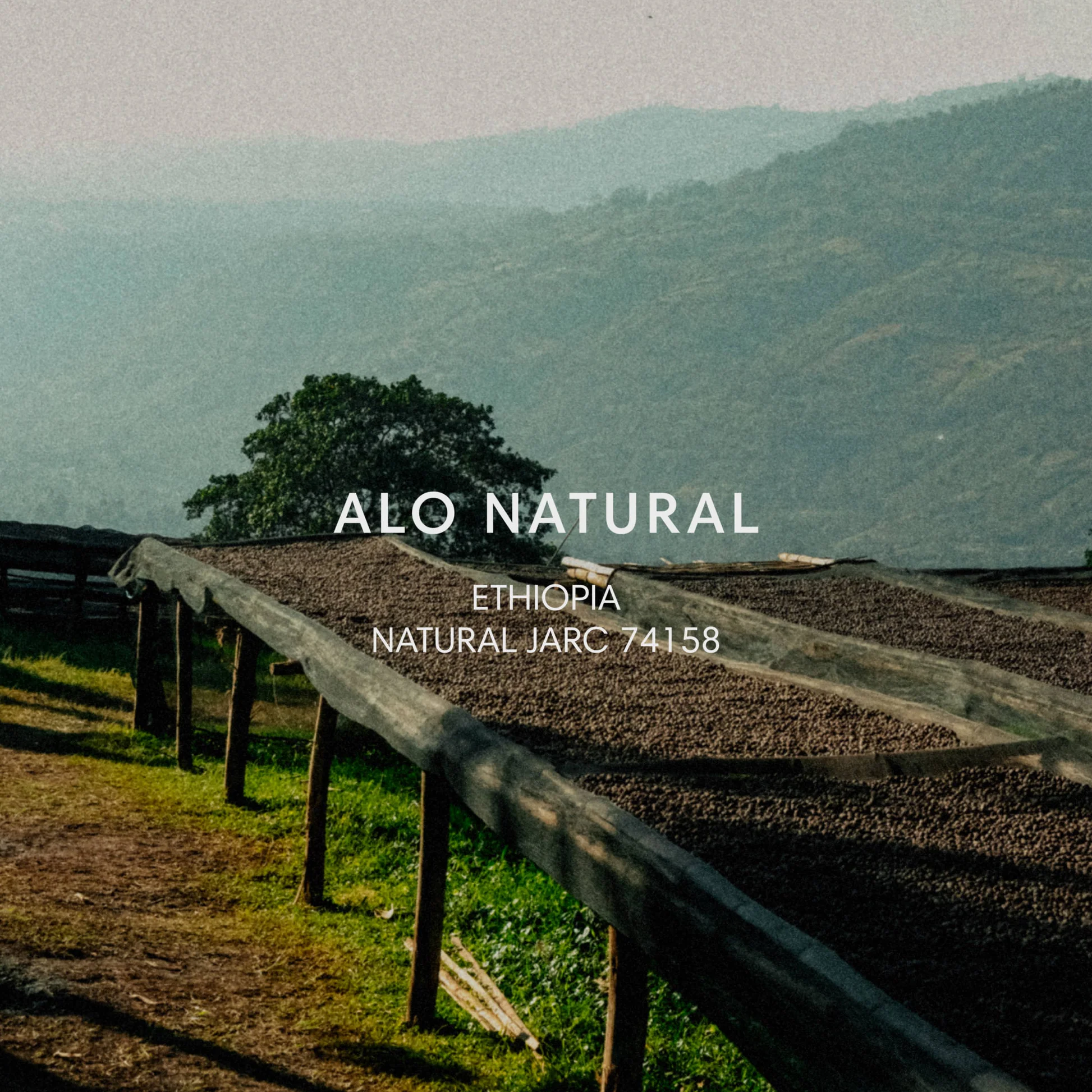 ALO NATURAL