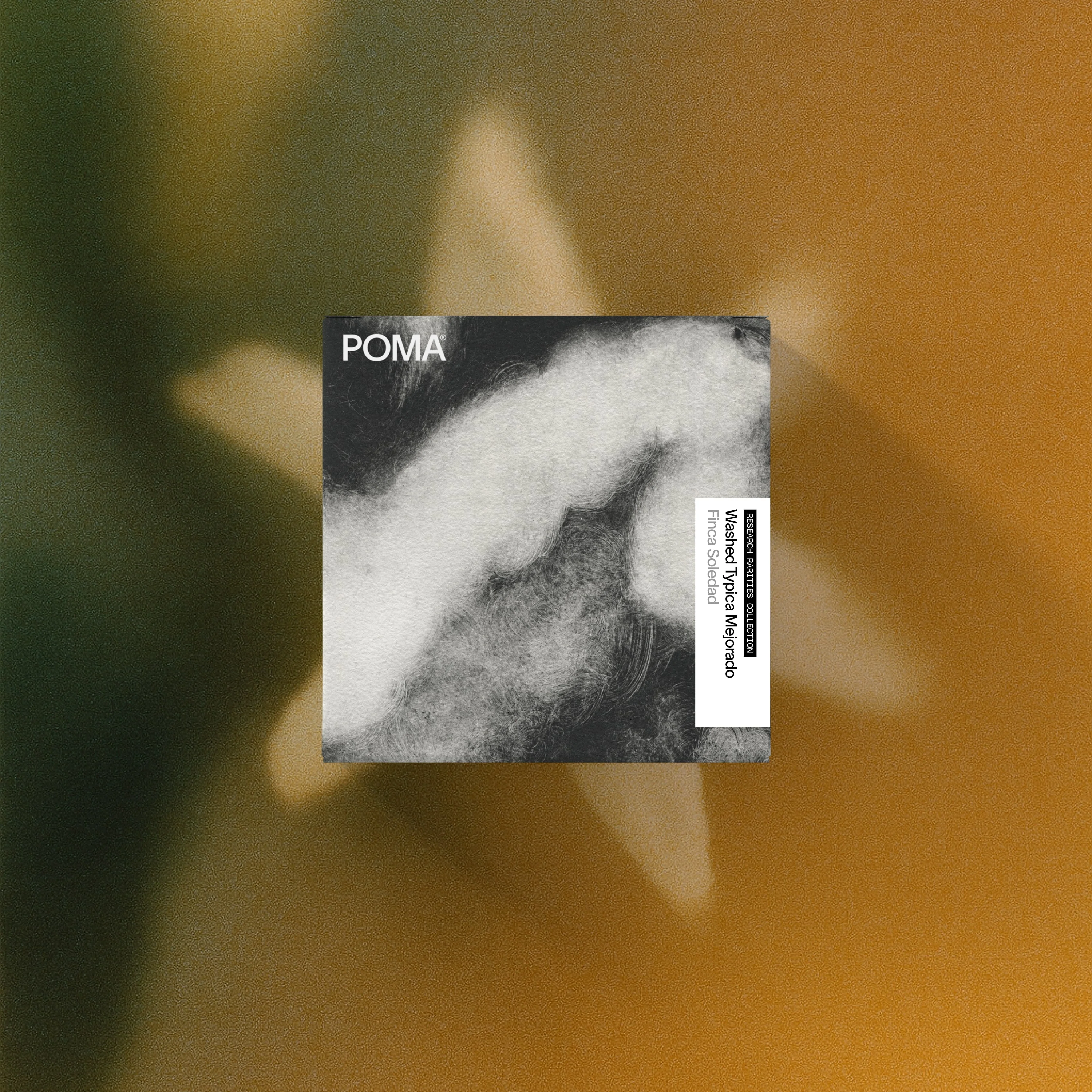 Finca Soledad Washed Typica Mejorado