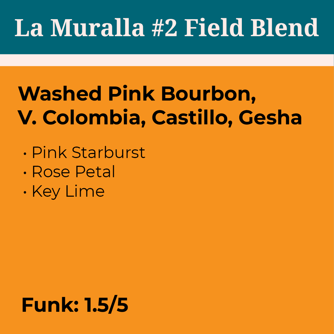 La Muralla #2 Field Blend Washed Colombia